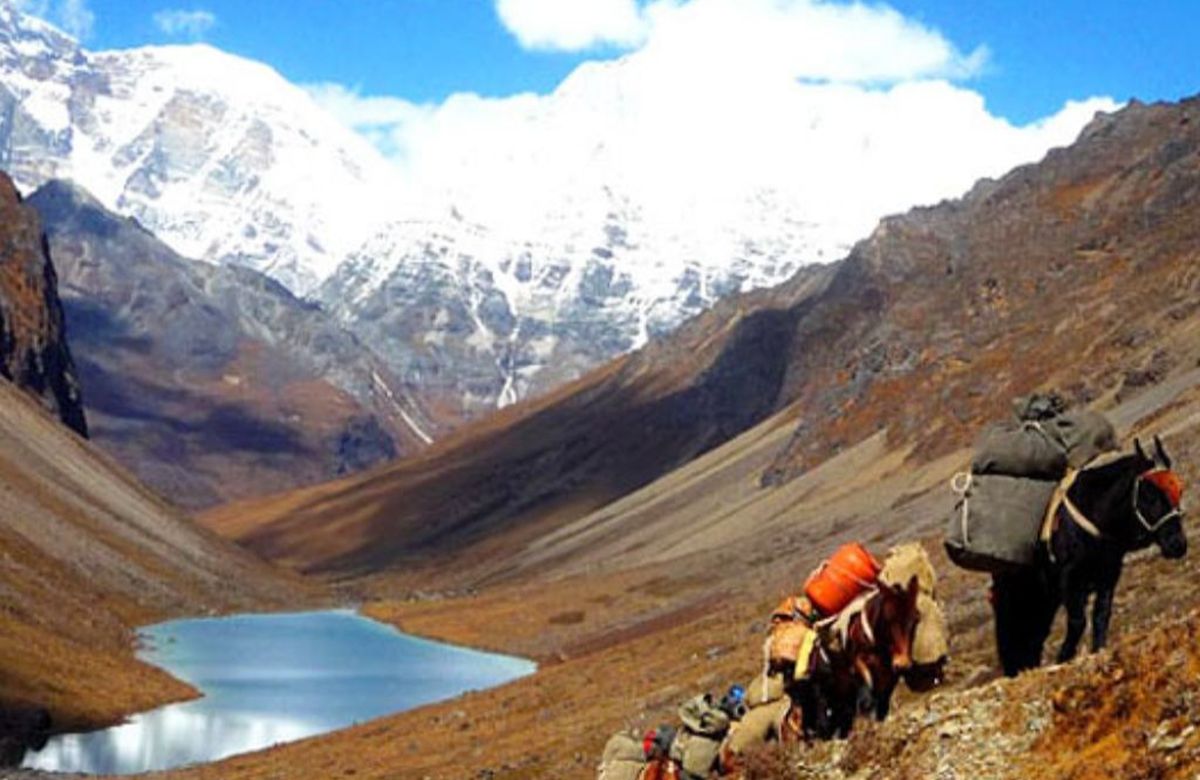Pack horses carrying trek loads over a Bhutanese pass